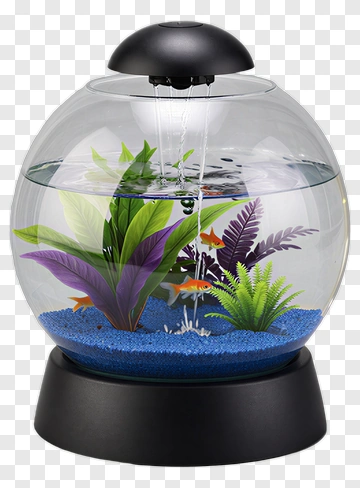 Decorative Aquarium With Goldfish And Plants PNG