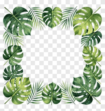 Tropical Leaf Border Design PNG