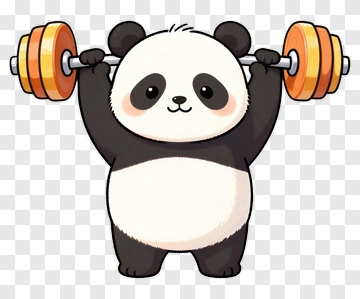 Panda Lifting Barbell PNG
