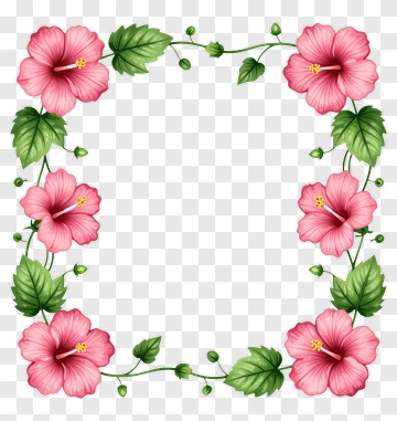 Pink Hibiscus Flower Border PNG