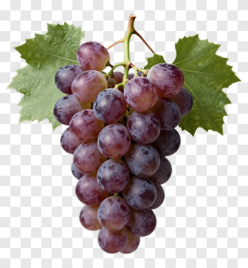 Cluster Of Purple Grapes With Leaves PNG