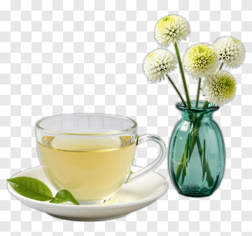 Tea Cup With Flower Vase PNG