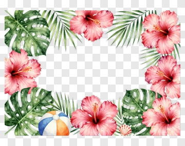 Tropical Hibiscus And Monstera Border PNG