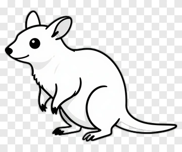 White Kangaroo Cartoon PNG