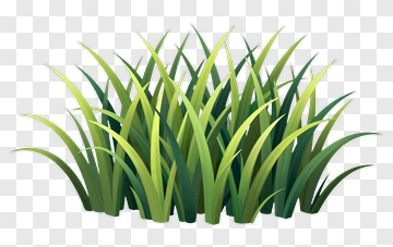 Grass PNG