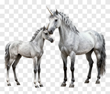 Adult And Foal Unicorn PNG