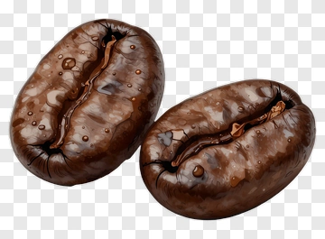 Coffee Bean PNG