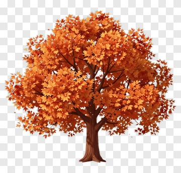Autumn Tree With Vibrant Leaves PNG