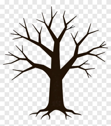 Tree PNG