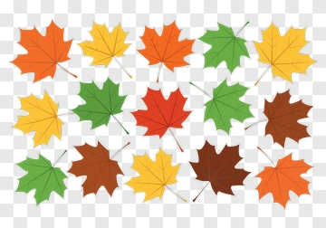Colorful Maple Leaves Collection PNG