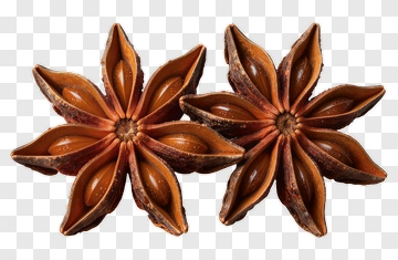 Star Anise PNG