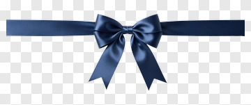 Blue Ribbon Bow PNG