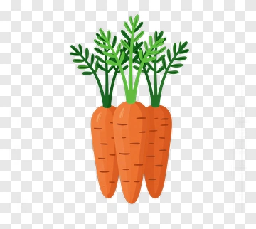 Fresh Carrot PNG
