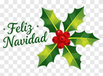 Feliz Navidad Holly Design PNG