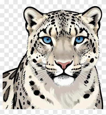 Snow Leopard Portrait PNG