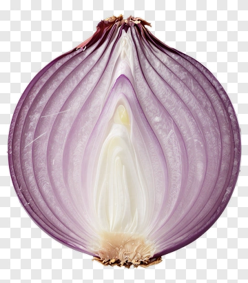 Cross Section Of A Red Onion PNG
