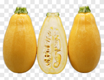 Yellow Squash PNG