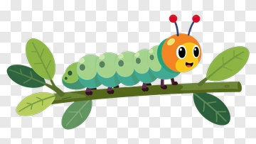 Cute Caterpillar On Branch PNG