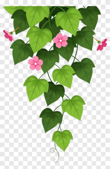 Vine With Green Leaves And Pink Flowers PNG
