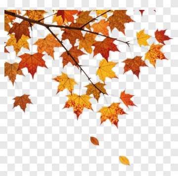 Autumn Maple Leaves Falling PNG