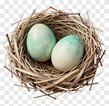 Eggs In A Nest PNG