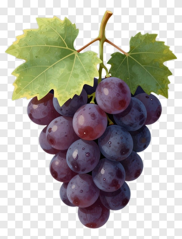 Cluster Of Purple Grapes With Vine Leaves PNG