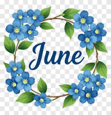 June Flower Wreath PNG