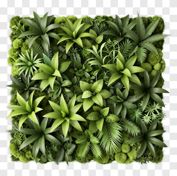 Square Green Plant Arrangement PNG