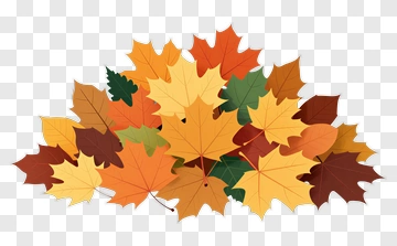 Fall Leaves Collection PNG