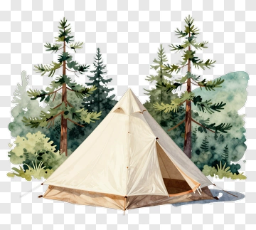 Camping Tent In Pine Forest PNG