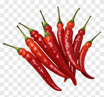 Fresh Red Chili Pepper PNG