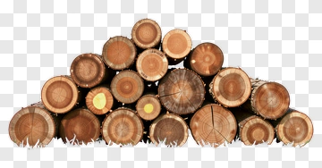 Stack Of Wooden Logs On Grass PNG
