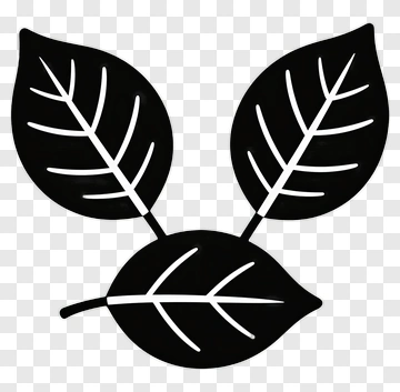 Three Leaf Symbol PNG