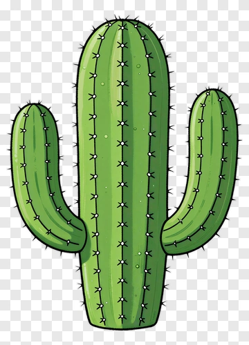 Green Cactus PNG