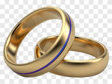 Gold Wedding Rings With Blue Line PNG