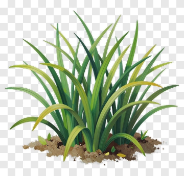 Watercolor Plant With Green Leaves PNG