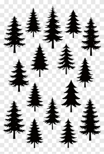 Black Pine Tree Silhouettes PNG