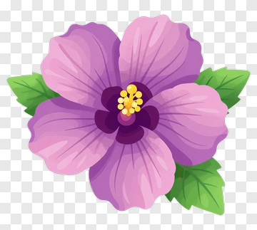 Purple Hibiscus Flower With Green Leaves PNG