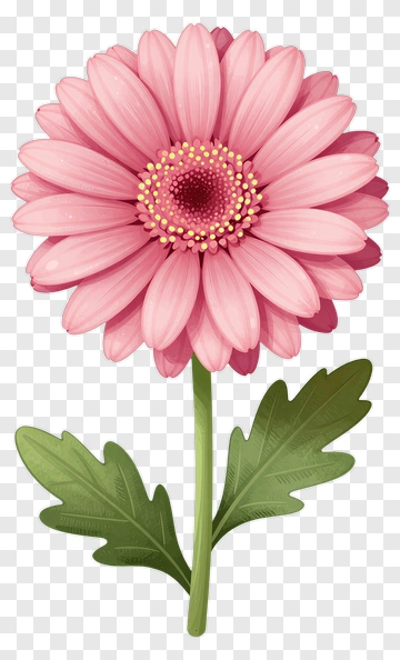 Pink Flower With Green Stem And Leaf PNG