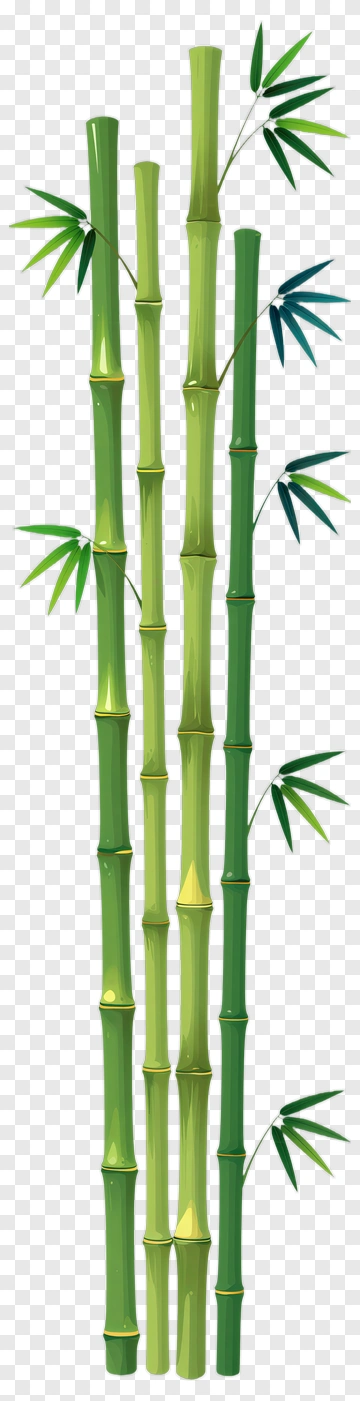 Bamboo PNG