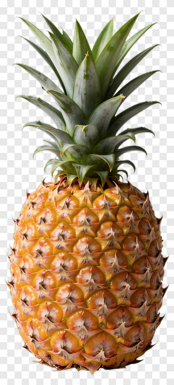 Fresh Pineapple PNG