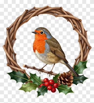 Robin On Festive Wreath PNG