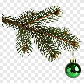 Green Christmas Ornament On Pine Branch PNG