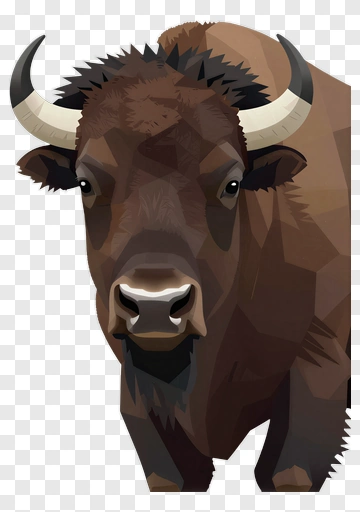 Bison Portrait PNG