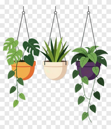 Three Hanging Plants PNG