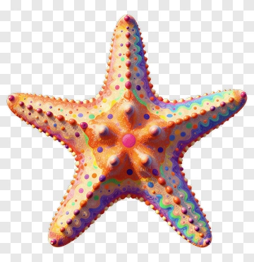 Colorful Starfish With Dots And Spines PNG