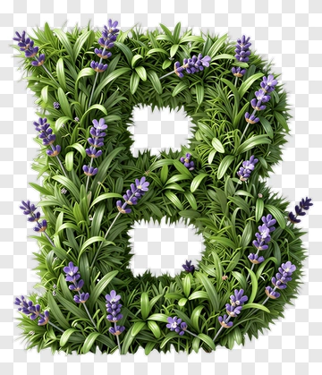 Letter B Made Of Lavender And Greenery PNG
