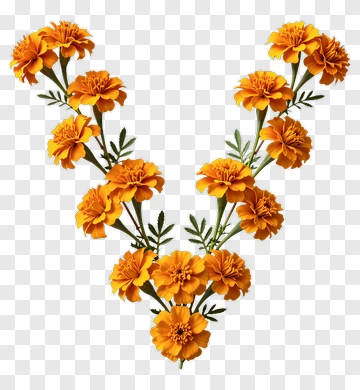 Orange Marigold Flower V-Shape Arrangement PNG