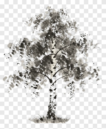 Ink Painting Of A Birch Tree PNG