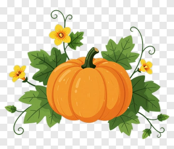 Cartoon Pumpkin With Leaves And Flowers PNG